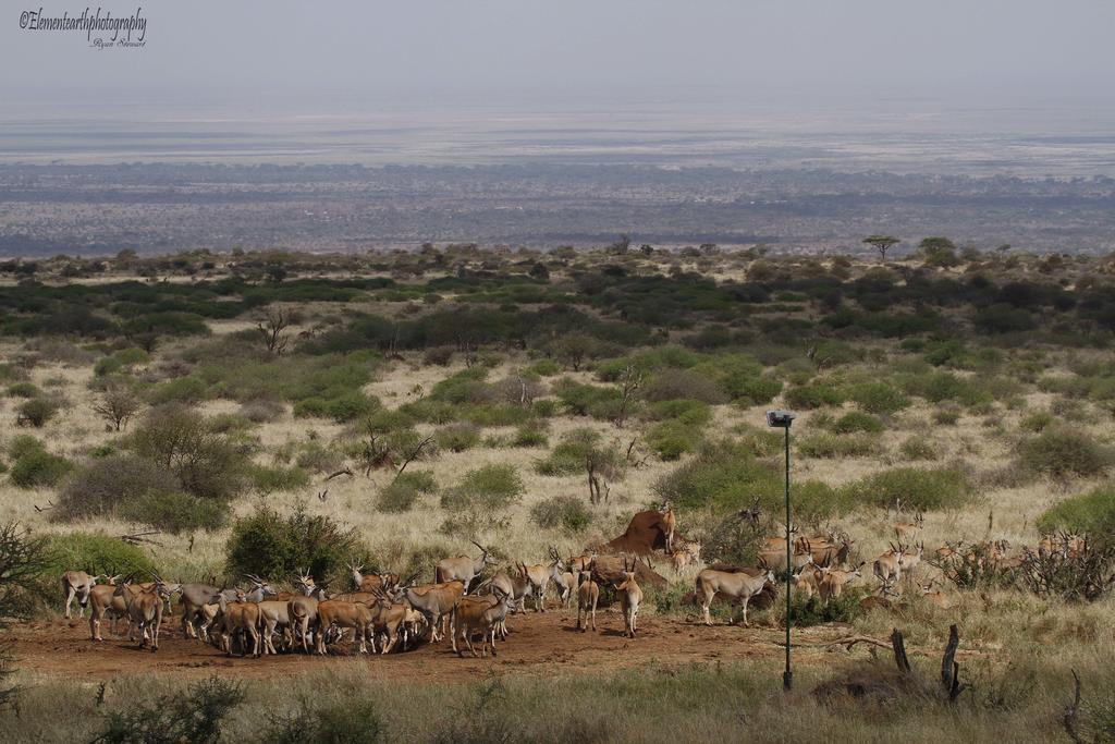 Elerai Camp Hotel Amboseli Exterior photo